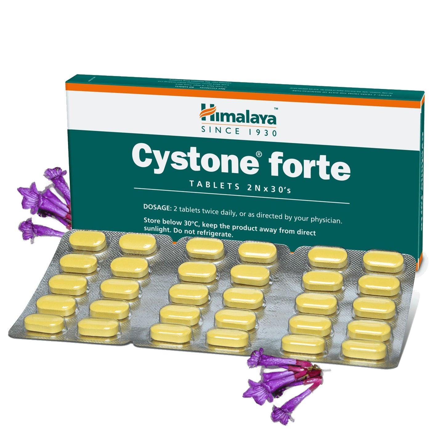Himalaya Cystone Forte Tablets - Advanced Herbal Support for Kidney Health